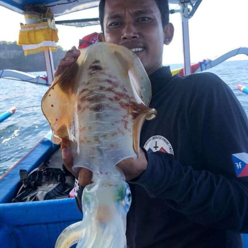 Bali jig fishing with tradisional boat - Key Points