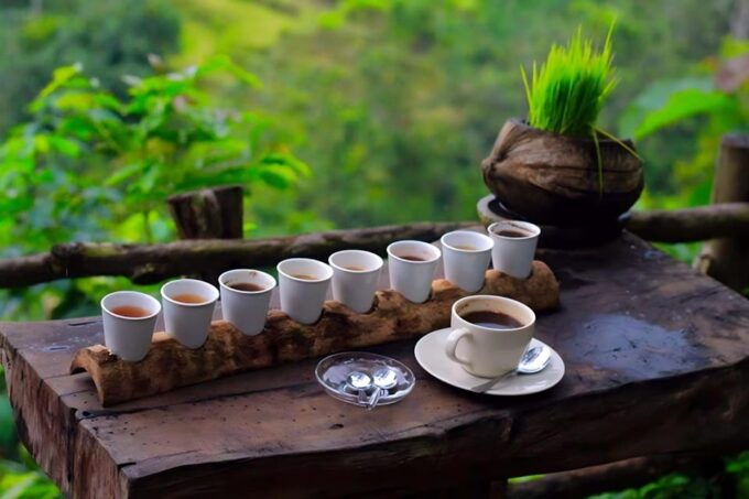 Bali: Journey to The Soul, All Inclusive Tour - Lunch