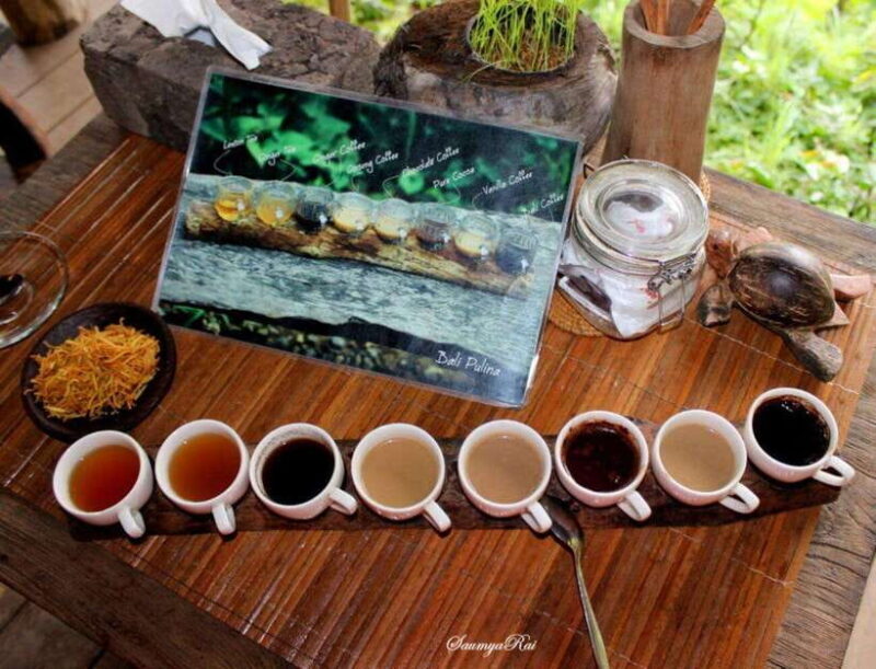 Bali: Jungle ATV Ride, Tegenungan Waterfall - Frequently Asked Questions