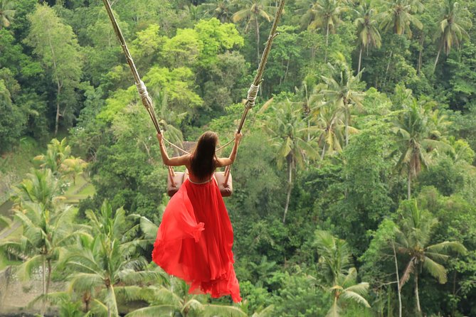 Bali Jungle Swing and White Water Rafting All Inclusive - Included Lunch and Refreshments