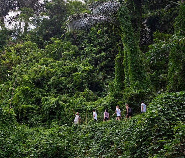 Bali: Jungle Trek and River Rafting With Lunch - Exploring Taro Village