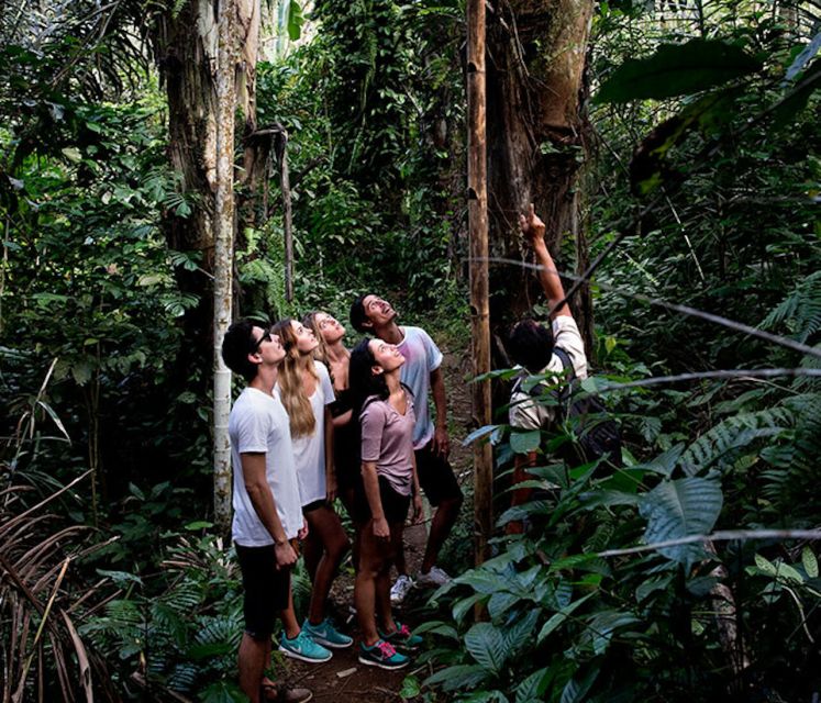 Bali: Jungle Trek and River Rafting With Lunch - Ayung River Rafting