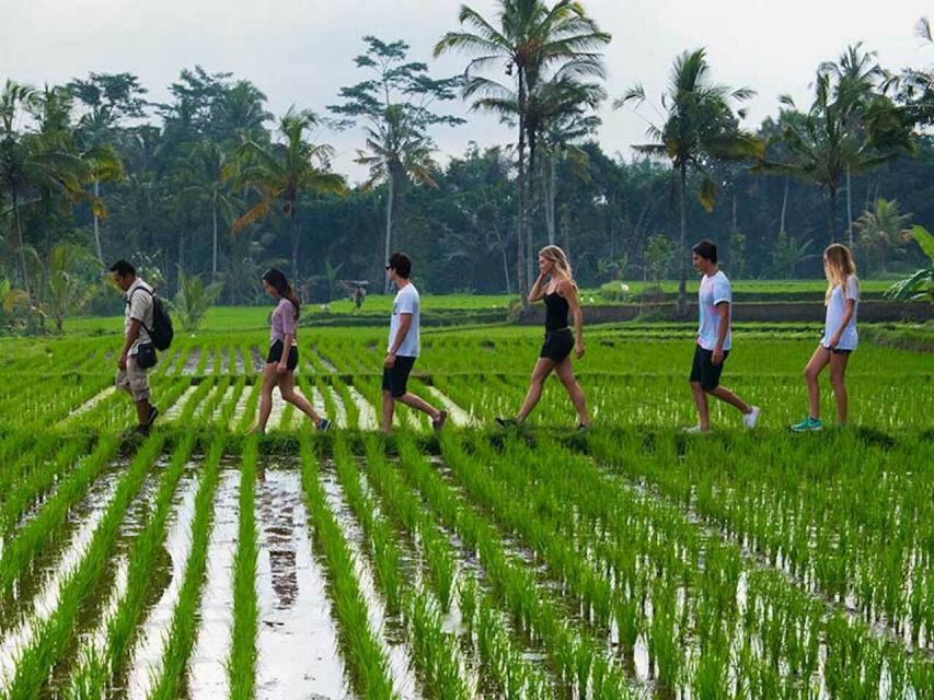 Bali: Jungle Trek and River Rafting With Lunch - Dietary Restrictions Noted