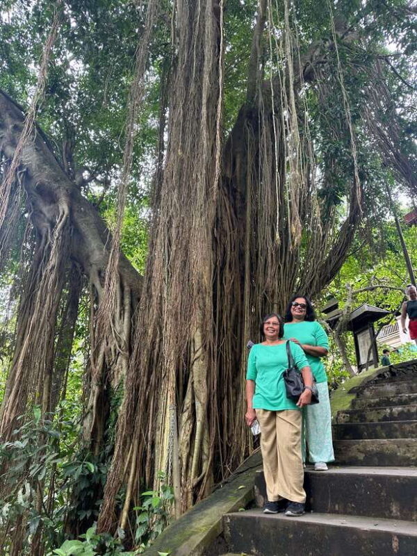 Bali : Jungle Waterfall NUNGNUNG private tour With sunset - Key Points