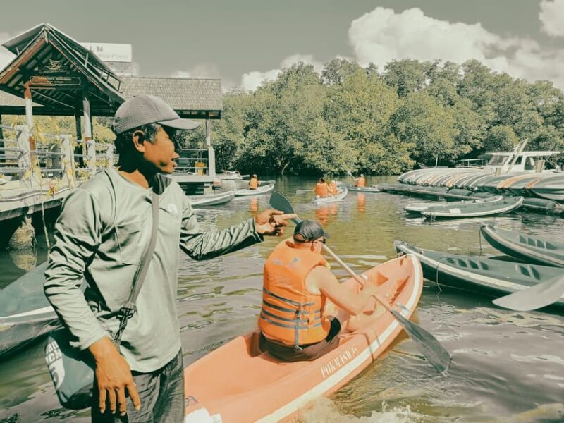 Bali: Kayaking With Mangrove Preserving and Turtle Release - Good To Know