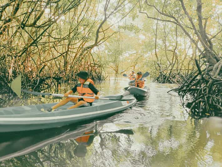 Bali: Kayaking With Mangrove Preserving and Turtle Release - Itinerary Highlights