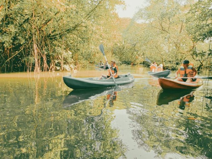Bali: Kayaking With Mangrove Preserving and Turtle Release - Inclusion and Exclusions