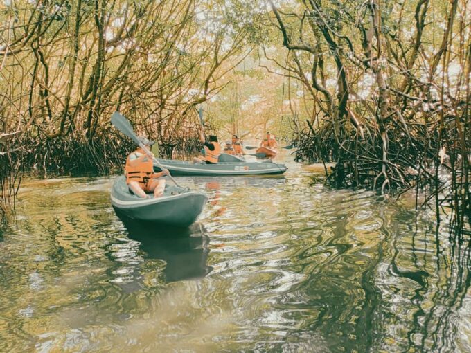 Bali: Kayaking With Mangrove Preserving and Turtle Release - Frequently Asked Questions