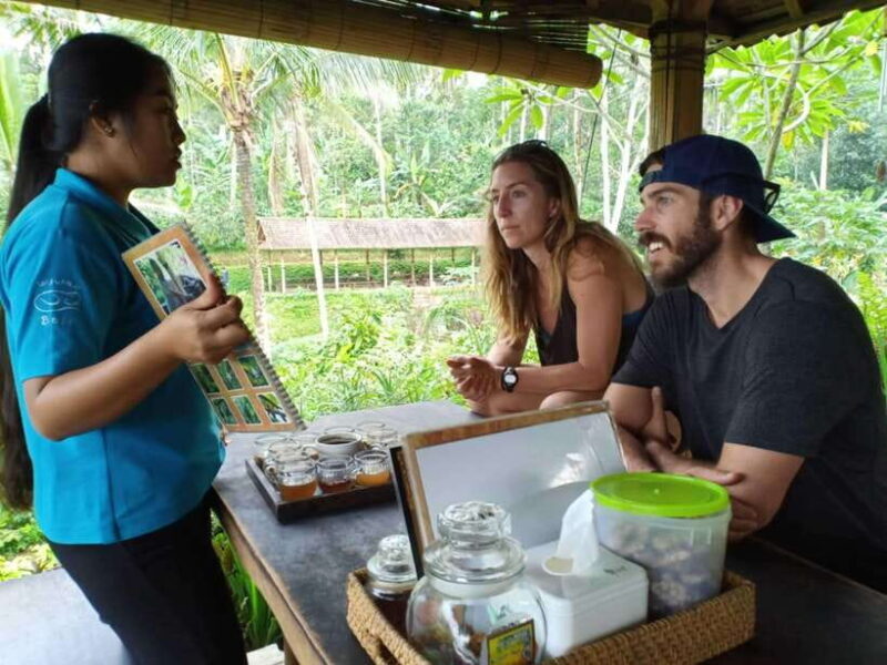 Bali: Kintamani Cafe, Waterfall, Temple and Cretya Ubud Tour - FAQ
