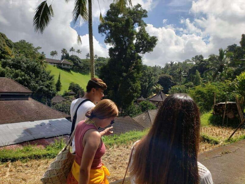 Bali: Kintamani Heritage Tour - Transport and Group Size