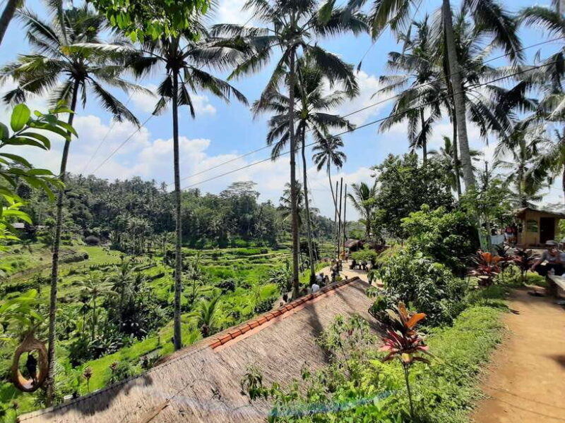Bali: Kintamani Heritage Tour - Why We Think This Tour Works Well