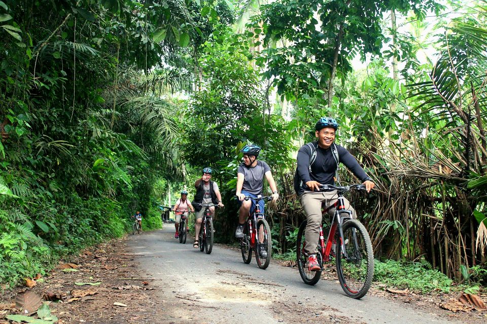 Bali: Kintamani Private Downhill Bike Tour & Rice Fields - Coffee Plantation Experience