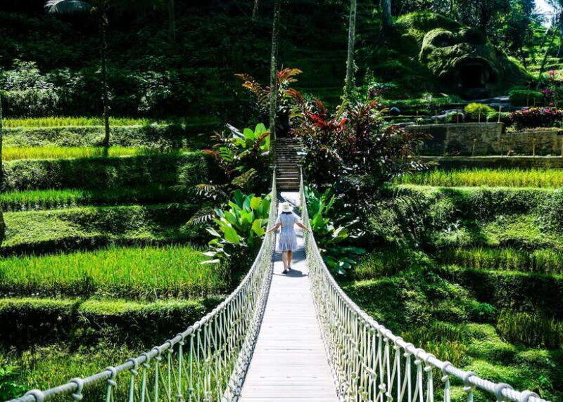 Bali: Kintamani, Tegalalang and Coffee Plantation Tour - Key Points