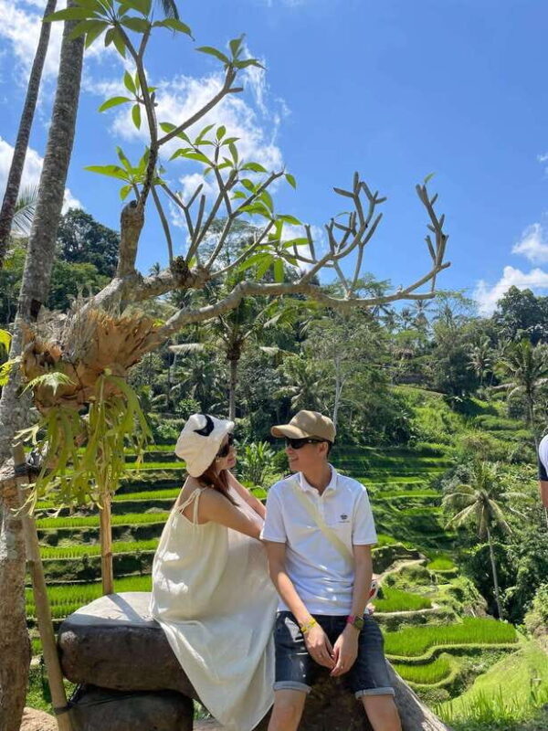 Bali: Kintamani, Tegalalang and Coffee Plantation Tour - Introduction: Why This Tour Might Be Your Perfect Bali Day