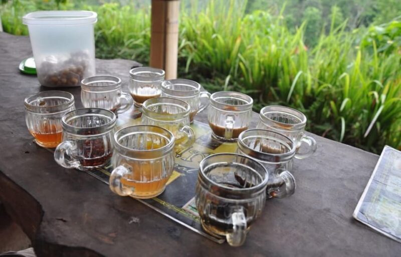 Bali: Kintamani Village, Rice Terraces, and Coffee Tour - Pickup and Drop-off Locations