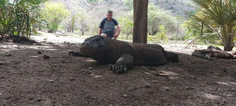Bali: Komodo Island Guided Day Trip with Lunch and Snacks - Key Points