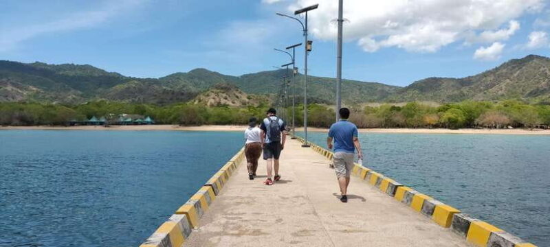 Bali: Komodo Island Guided Day Trip with Lunch and Snacks - Is This Tour Worth the Price?