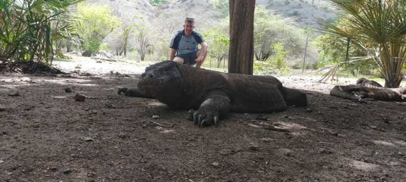 Bali: Komodo Island Guided Day Trip with Lunch and Snacks - Final Thoughts: Is It Worth It?