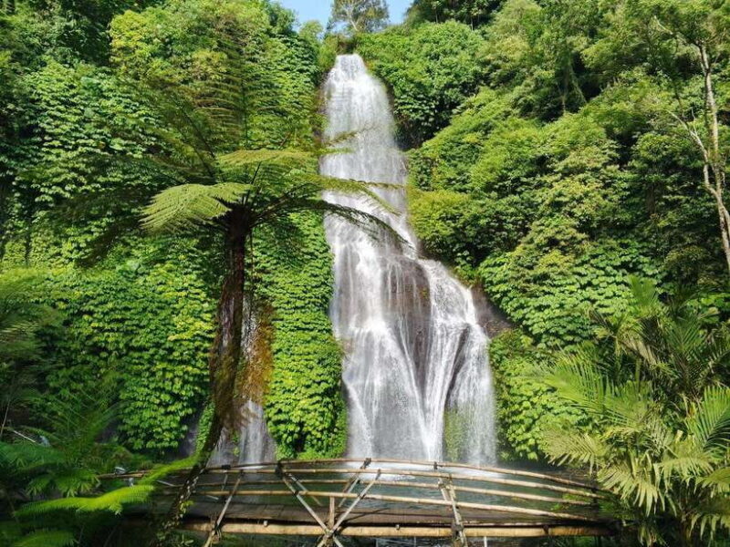 Bali: Lake Temple, Jatiluwih Rice Terrace & Waterfall Tour - What to Expect from This Day Trip