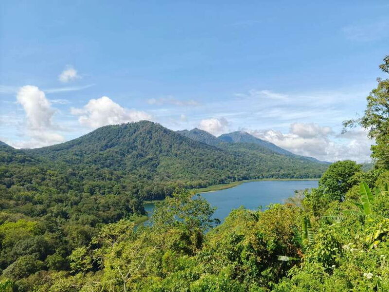 Bali: Lake Temple, Jatiluwih Rice Terrace & Waterfall Tour - Authenticity and Insights from Reviews