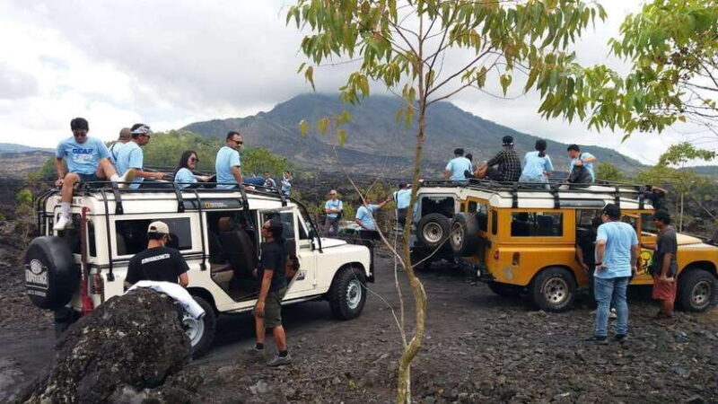 Bali: Land Rover Jeep Tour Kintamani & Ubud Swing - Practical Tips for Participants