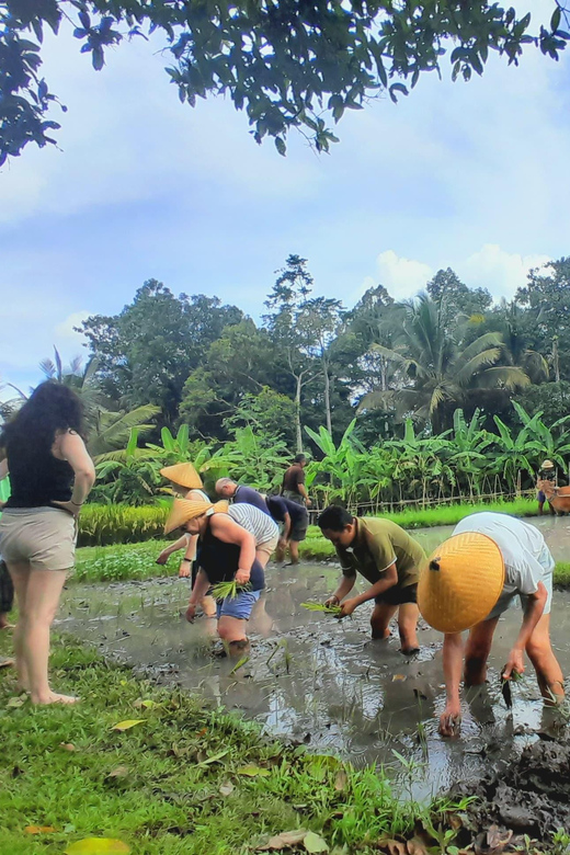 Bali: Legung Luwih Tabanan Village Activities - Full Day Itinerary