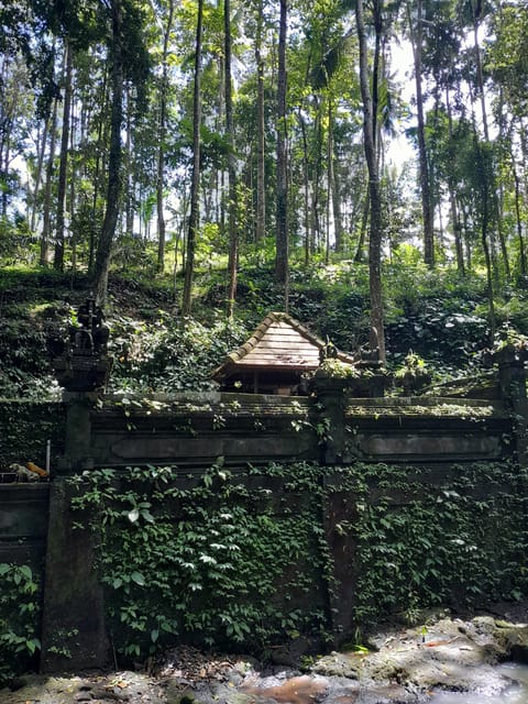 Bali: Legung Luwih Tabanan Village Activities - Religious Ceremonies and Demonstrations