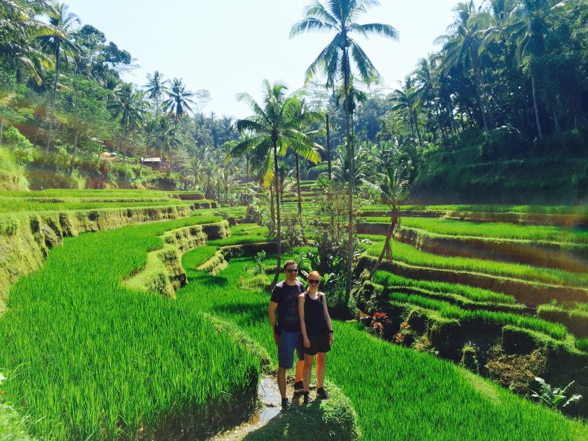 Bali: Leke-Leke Waterfall, Monkey Forest & Jungle Swing Tour - Key Points