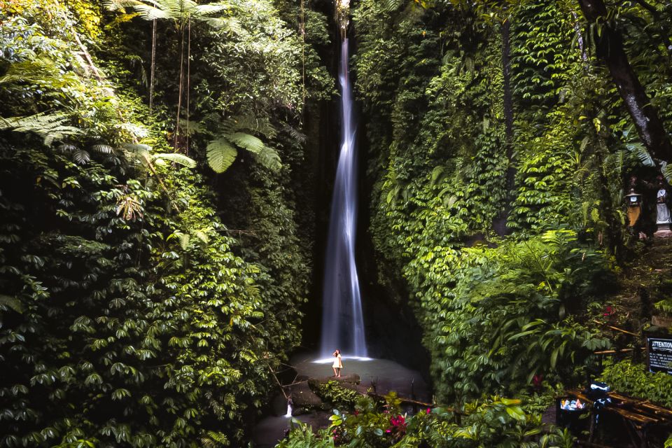 Bali: Leke-Leke Waterfall, Monkey Forest & Jungle Swing Tour - Memorable Experiences