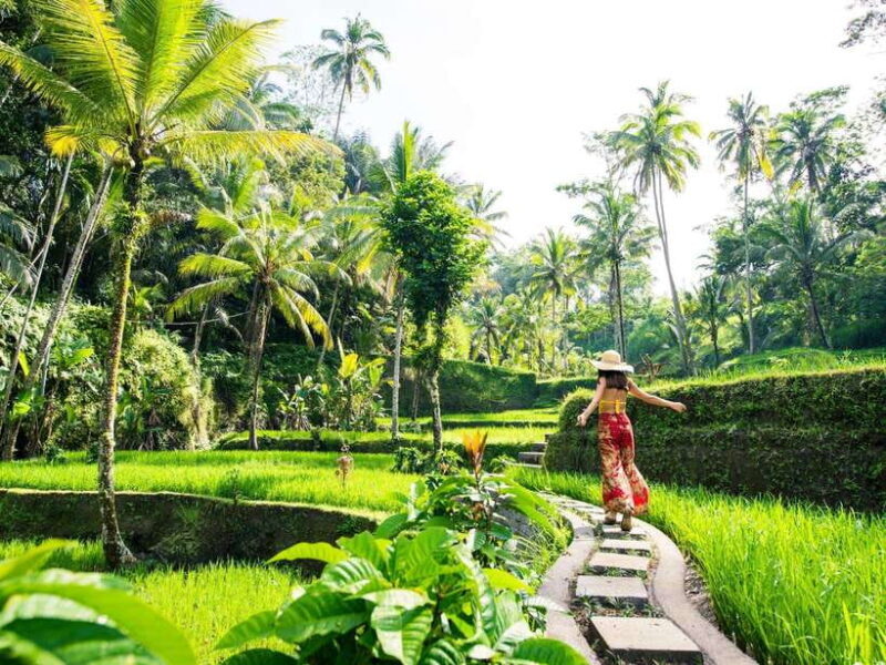 Bali: Lempuyang Temple, Water Palace, and Waterfall Tour. - A Deep Dive into the Tour Experience