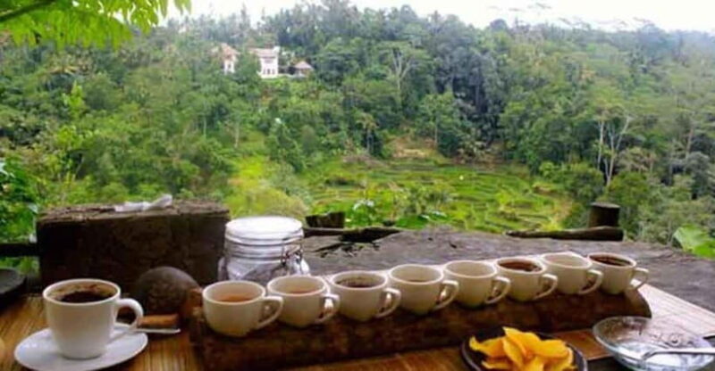 Bali: Local Village and School Tour with Lunch - The Sum Up