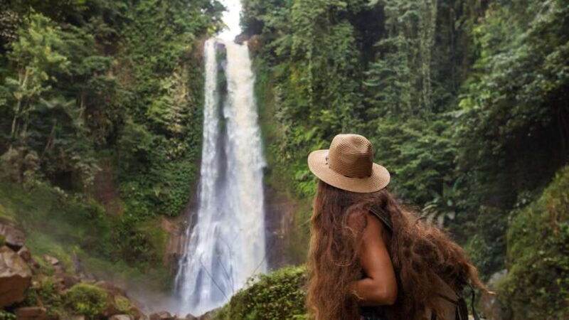 Bali/Lovina: Dolphin Snorkeling, Swimming & Waterfall Tour - Exploring the Bali/Lovina Dolphin Snorkeling and Waterfall Tour
