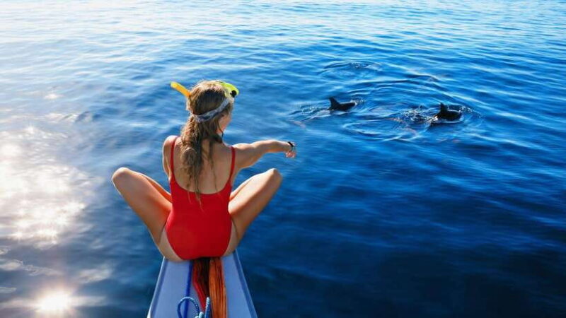 Bali/Lovina: Dolphin Snorkeling, Swimming & Waterfall Tour - The Sum Up: Is It Worth It?
