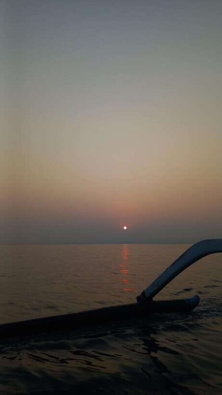 Bali : Lovina Dolphin & Swim, Snorkeling, 2 Destination stop - Key Points