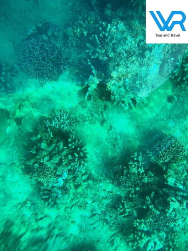 Bali : Lovina Dolphin & Swim, Snorkeling, 2 Destination stop - An Authentic Day on Bali’s North Coast