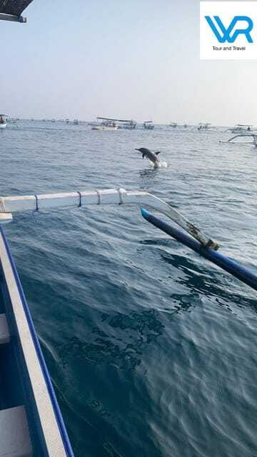 Bali : Lovina Dolphin & Swim, Snorkeling, 2 Destination stop - FAQ