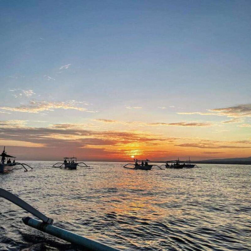 Bali Lovina dolphin Tour & Watching Sunrise - Final Words