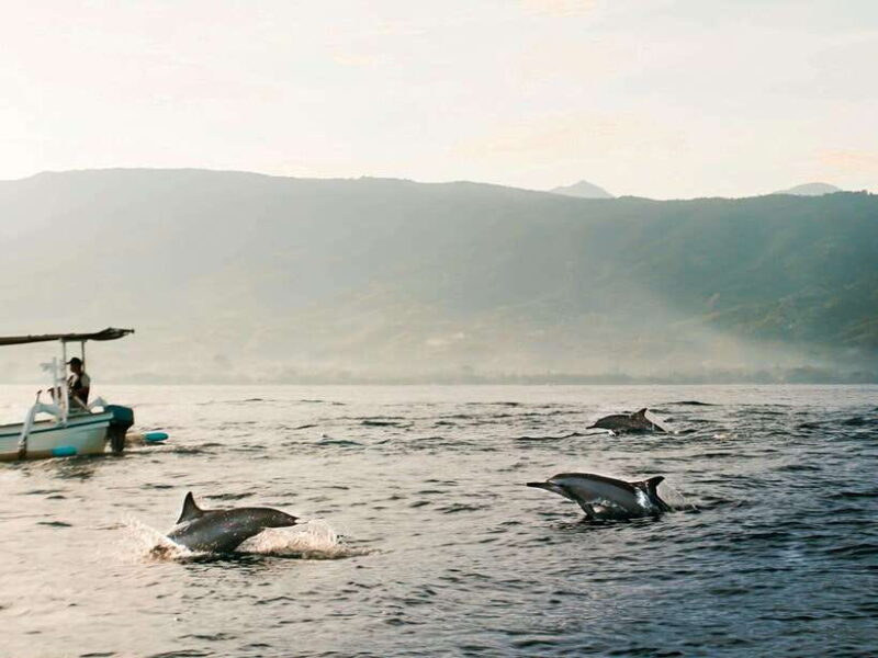 Bali: Lovina Dolphin Watching and Snorkeling Tour - Final Thoughts