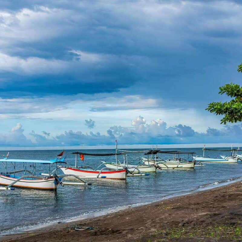 Bali: Lovina Dolphin Watching and Snorkeling Tour - What Makes This Tour Stand Out?