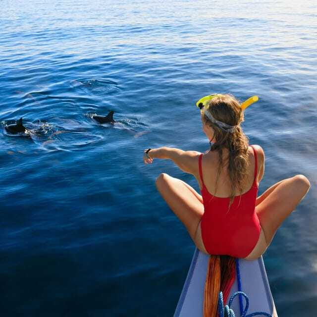 Bali: Lovina Dolphin Watching and Snorkeling Tour - Making the Most of Your Experience