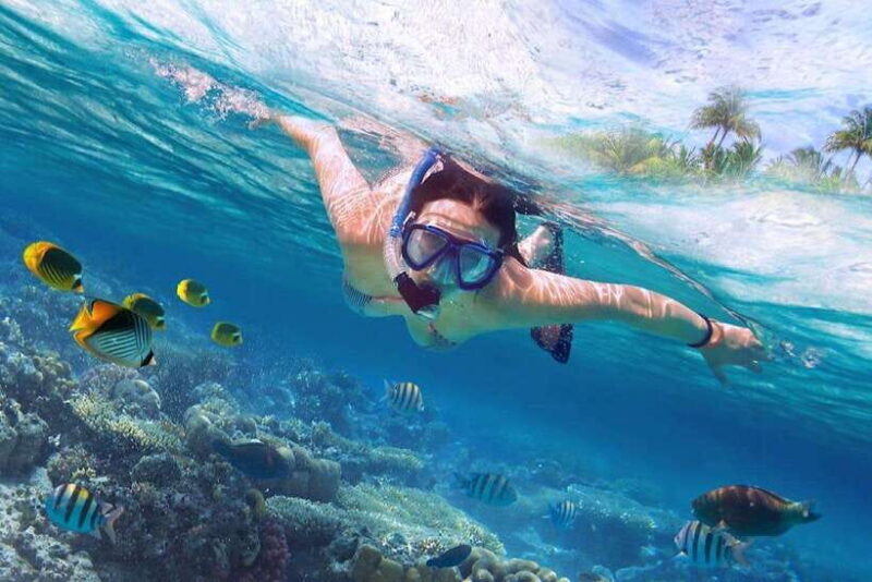 Bali: Lovina Sunset Tour with Snorkeling Experience - The Real Value of the Tour
