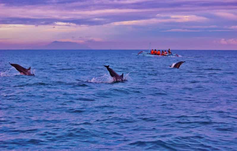 Bali: Lovina Tour to See Dolphin - Booking Information