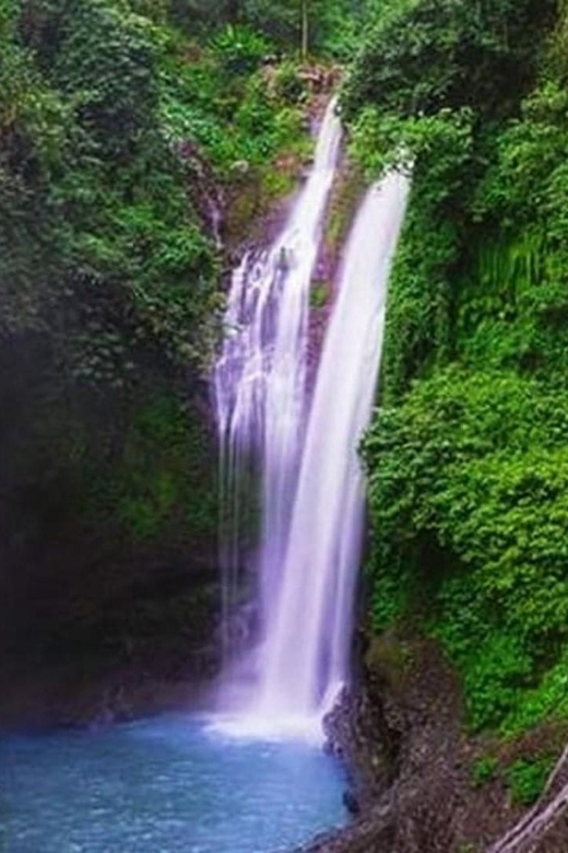 Bali: Lovina Tour to See Dolphin - Itinerary Highlights