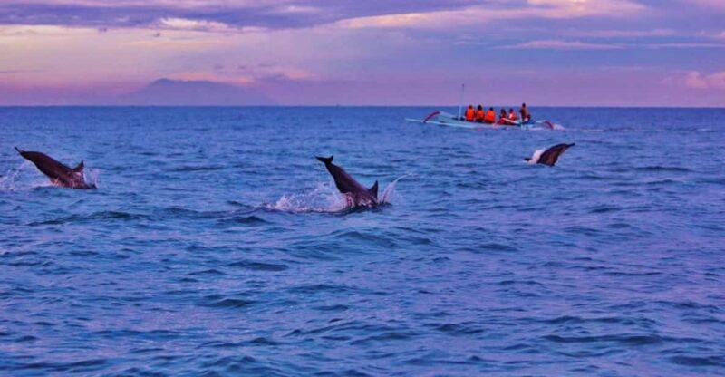 Bali: Lovina Tour to See Dolphin - Pickup Locations