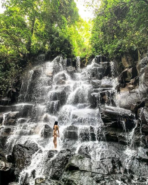 Bali: Monkey Forest, Rice Terrace & Local Night Market Tour - Key Points