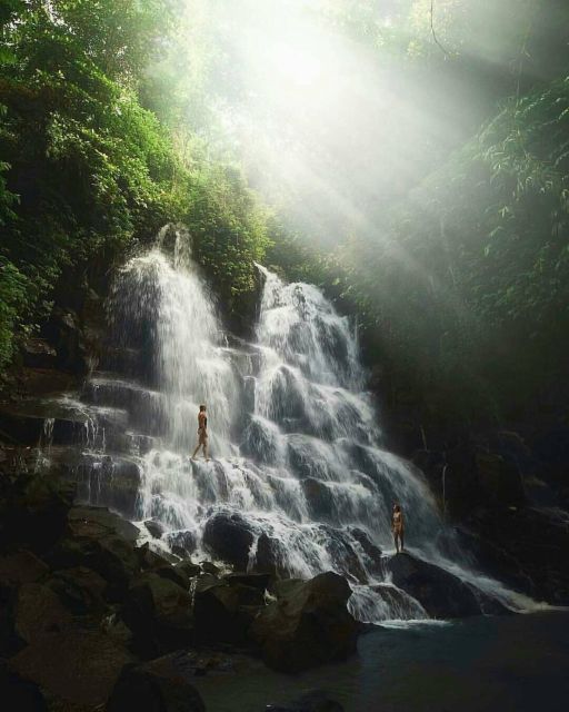 Bali: Monkey Forest, Rice Terrace & Local Night Market Tour - Tour Highlights