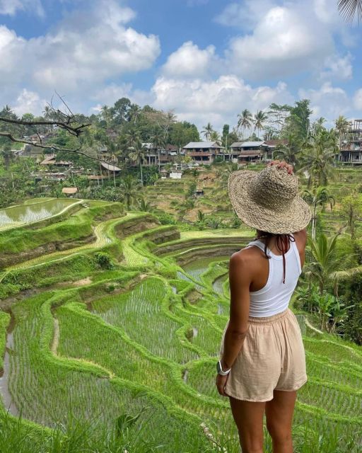 Bali: Monkey Forest, Rice Terrace & Local Night Market Tour - Tour Itinerary