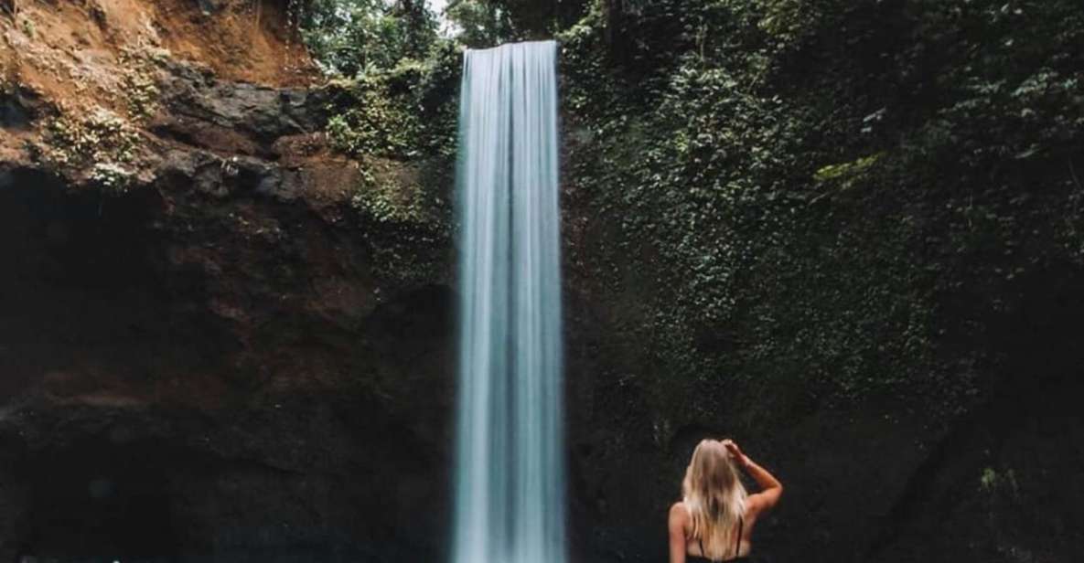 Bali: Monkey Forest, Rice Terrace & Local Night Market Tour - Meet the Monkeys