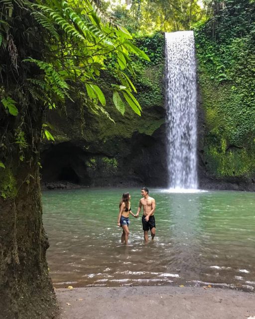 Bali: Monkey Forest, Rice Terrace & Local Night Market Tour - Explore the Rice Terrace