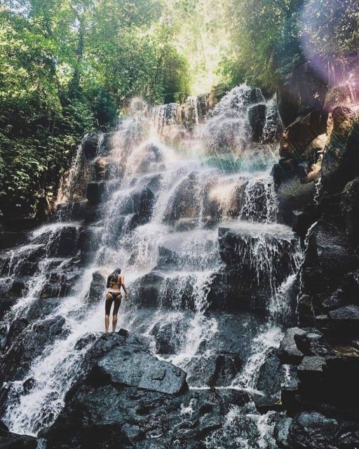 Bali: Monkey Forest, Rice Terrace & Local Night Market Tour - Taste the Local Delights